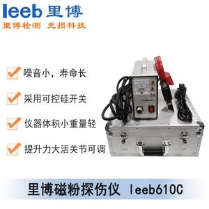 世界杯官网线上平台leeb610C 磁粉探伤仪